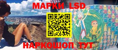 стаф Донской