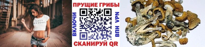 Галлюциногенные грибы Magic Shrooms  где купить наркоту  Кунгур 