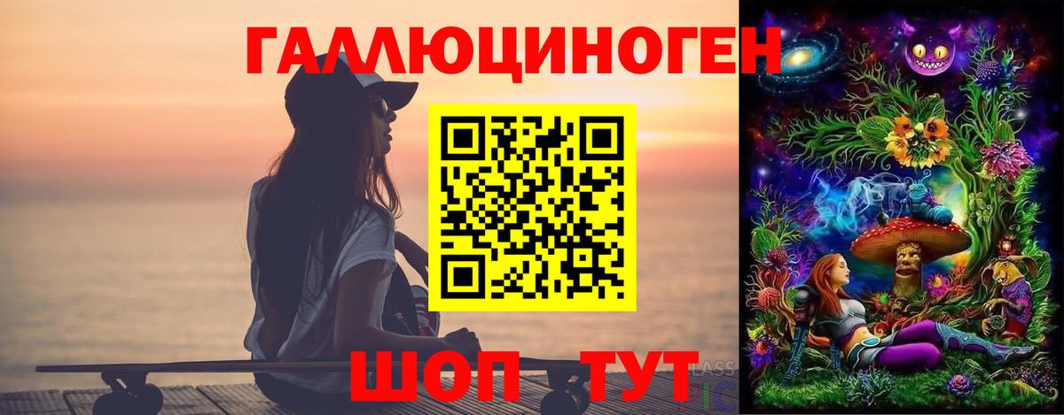 Псилоцибиновые грибы Psilocybe Кунгур